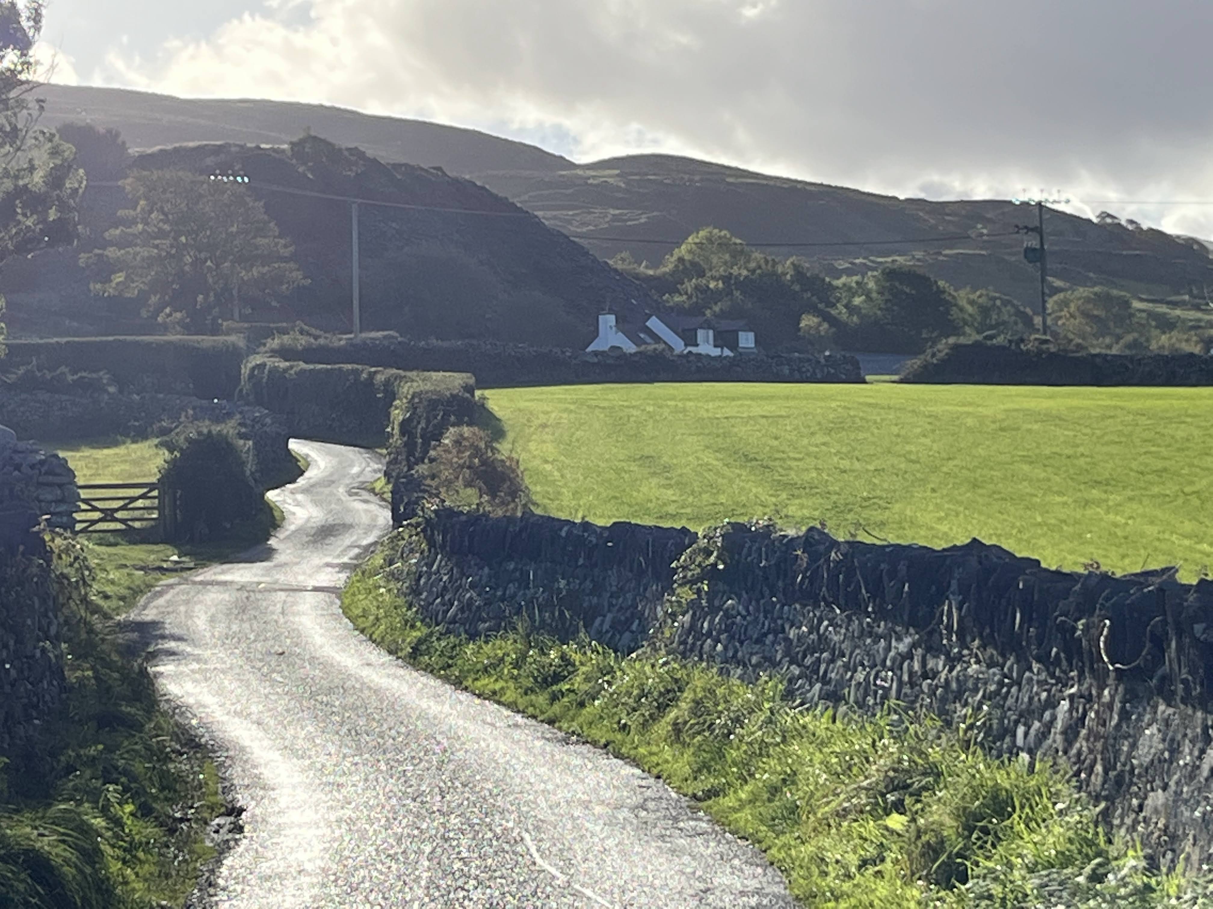 Cymraeg mewn rhifau / Cymraeg in numbers